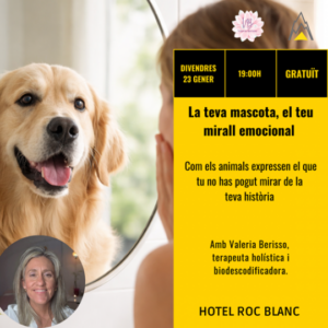 Perro mirando a su dueño en un evento sobre conexión emocional