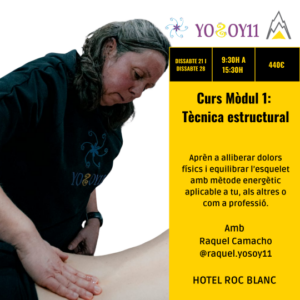Persona impartiendo curso de técnica estructural en Hotel Roc Blanc