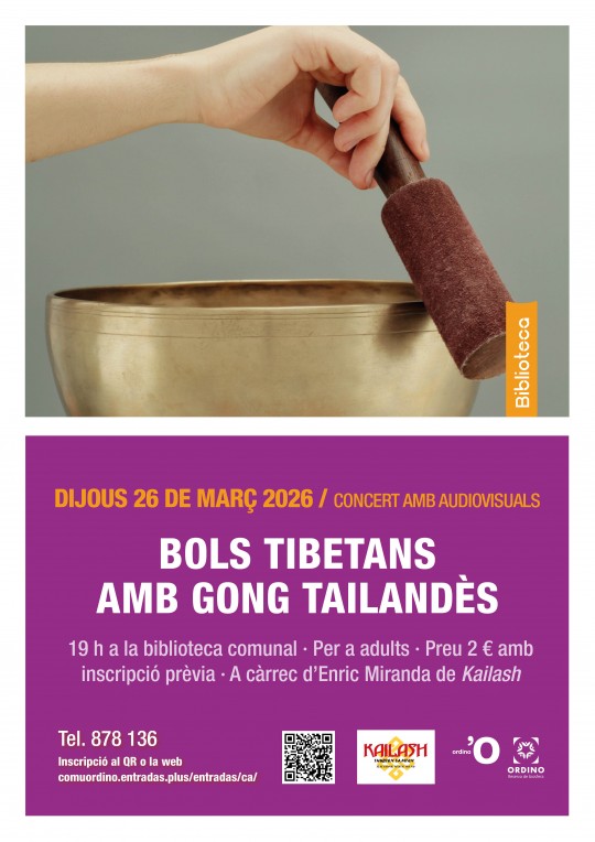 Mano tocando un bol tibetano en un concierto con gongs tailandeses