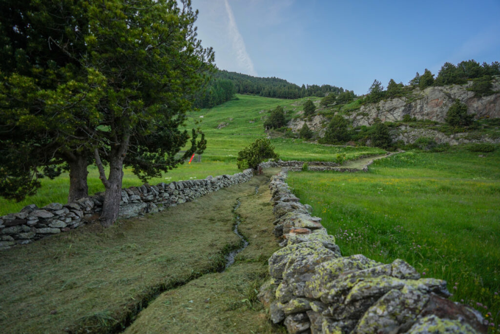 Camino rural en Andorra con vegetación verde y rocas