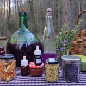 Mesa con ingredientes para hacer xarop expectorant y melats en taller de brujería