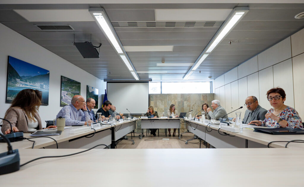 Reunión del Consell Econòmic i Social sobre autoritzacions de residència y treball