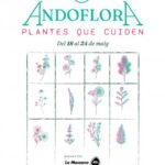 Cartel de la xerrada sobre el benestar a través de les plantes