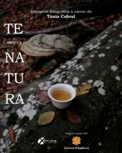Fotografía de la exposición Te amb la Natura con té y naturaleza