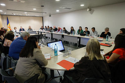 Reunió del Consell Nacional de la Discapacitat per presentar un projecte de llei