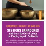 Persona participando en una sesión terapéutica con bols tibetanos y gongs