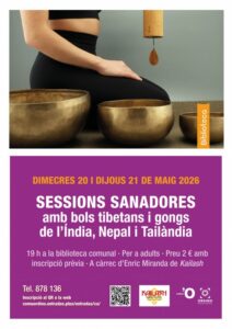 Persona participando en una sesión terapéutica con bols tibetanos y gongs
