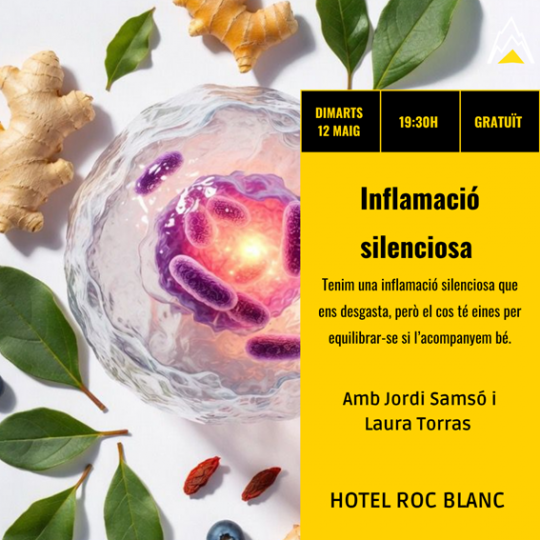 Imagen sobre la inflamación silenciosa en un evento educativo