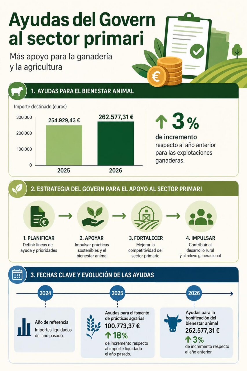 Infografía de la noticia