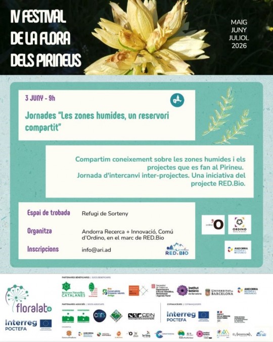 Cartel del festival de la flora en los Pirineos sobre zonas húmedas.
