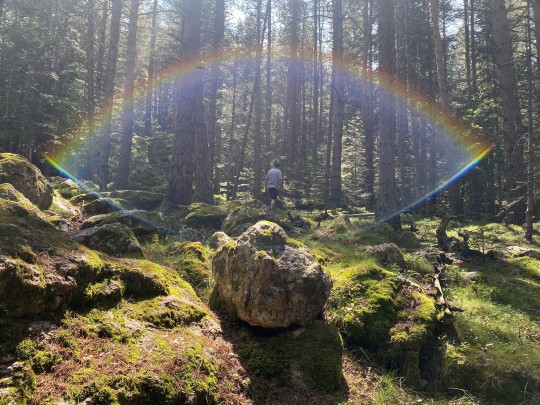Persona disfrutando de los banys de bosc en un bosque de Sant Julià de Lòria