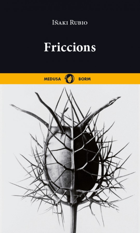 Portada del libro Friccions de Iñaki Rubio con diseño abstracto.