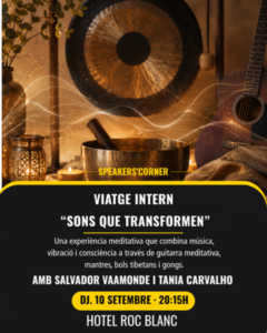 Taller de meditació musical con instrumentos como gongs y guitarra