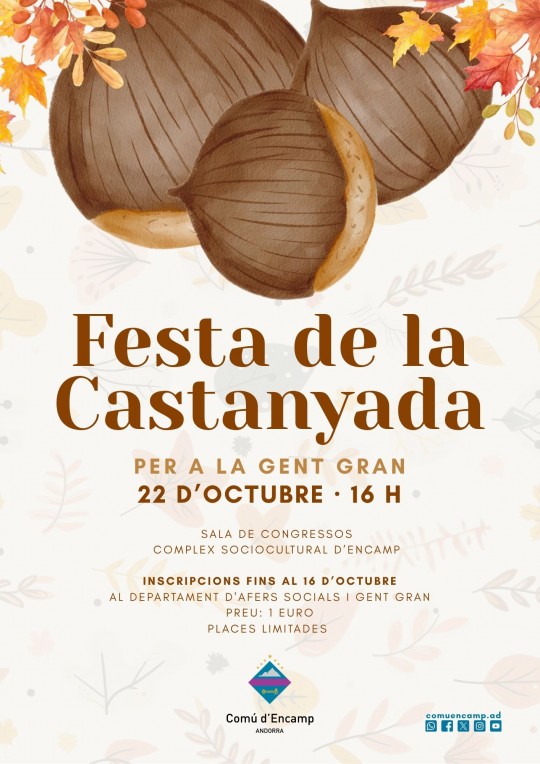 Cartel ilustrado con castañas y hojas otoñales anuncia la Castanyada para personas mayores.